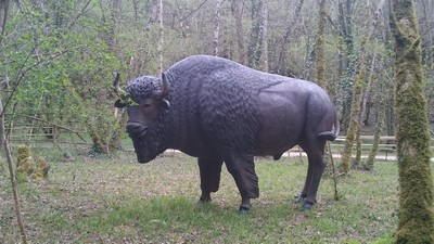 Le Prehisto-parc - bison