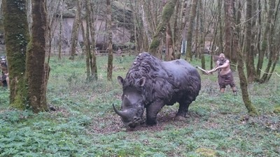 Le Prehisto-parc - rhinoceros
